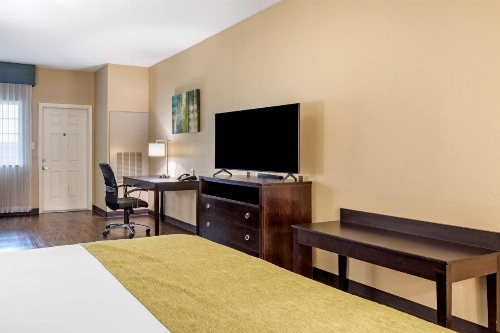 Best Western Plus Galveston Suites image 5